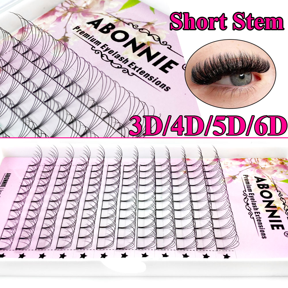 アボニー6Dナローファンプレメイドファン ロシアンボリューム - Eyelash Extension Remover At Home のレビューと価格